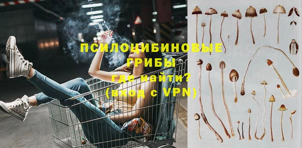 дурь Нязепетровск