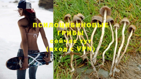 кокс Няндома