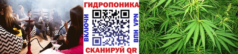 Купить закладки  Коммунар  Бошки Шишки ГИДРОПОН 